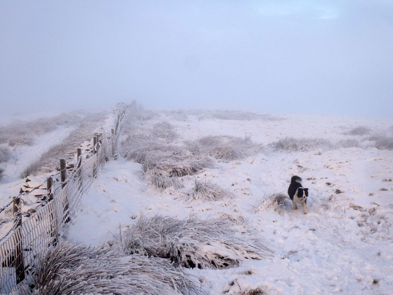 Thieveley Pike